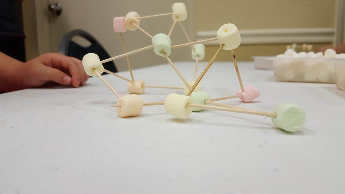 Kids Building Structures out of Toothpicks and Marshmallows